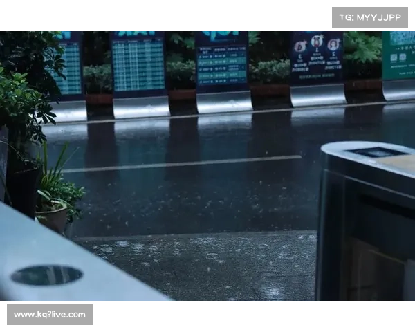 明日天气转晴，组委会启用场馆透明顶棚自然采光模式